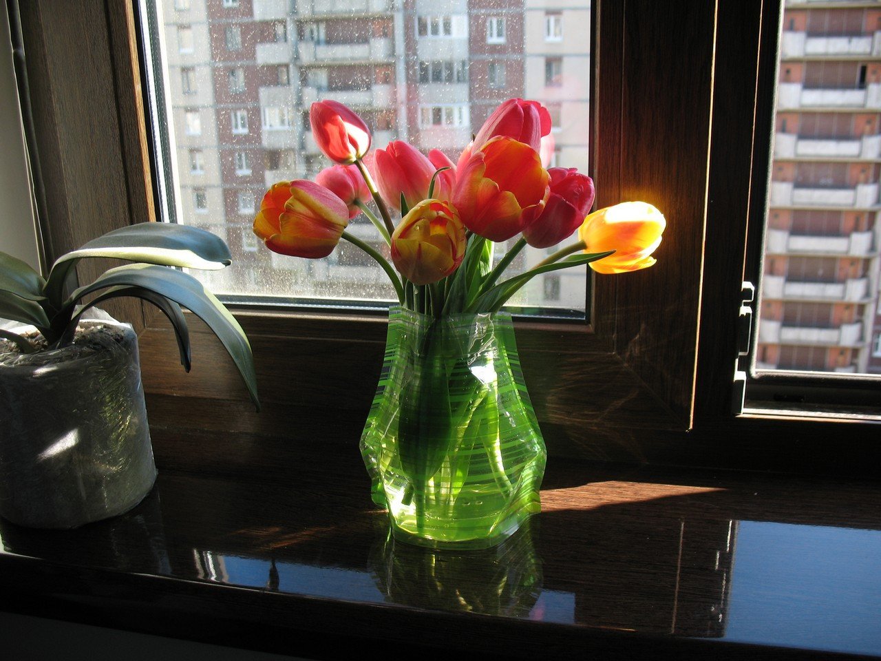 Тюльпаны дома в вазе фото дома