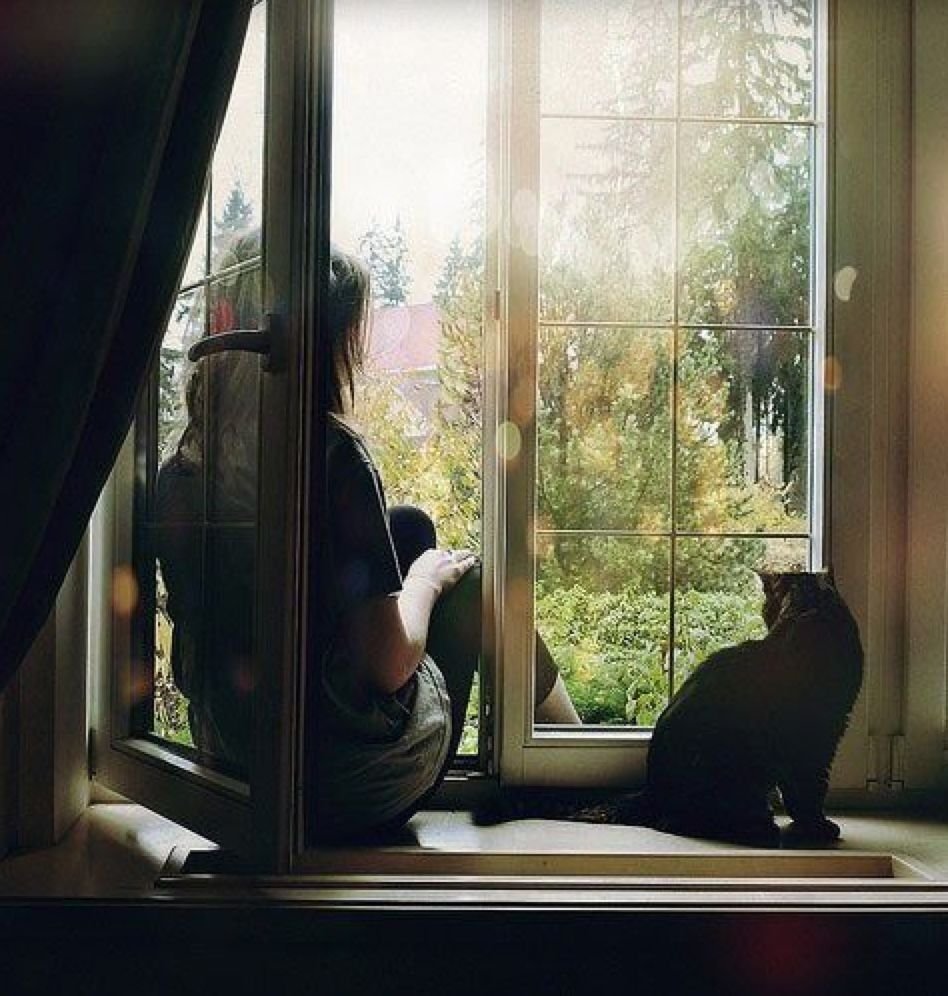 Окна тетка. Девочка у окна. Кошка на окне. Сидя у окна. Человек и кошка у окна.