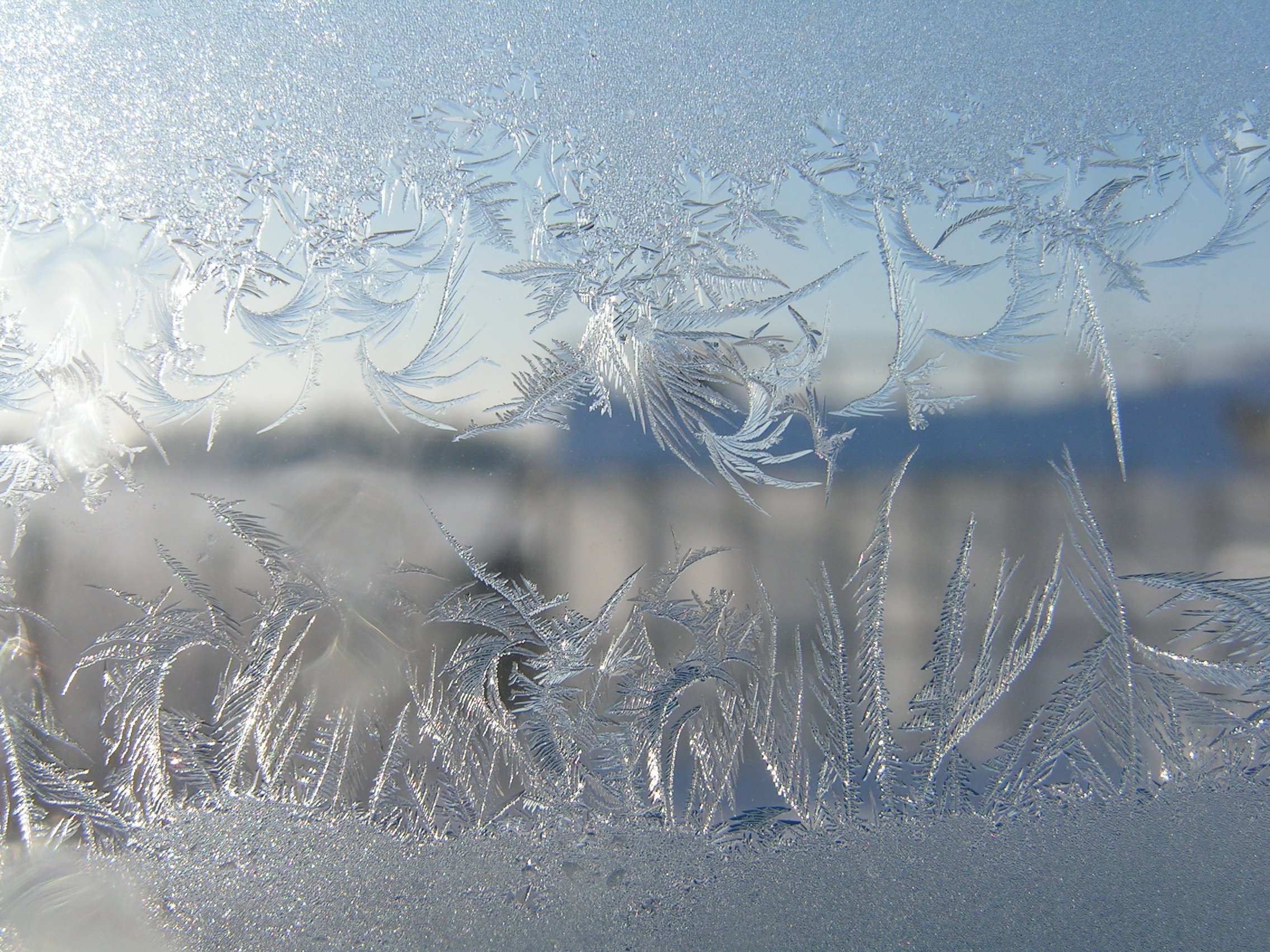 При сильных морозах на стеклах окон. Морозные узоры. Зимние узоры на стекле. Морозные узоры на окне. Морозные узоры на стекле.