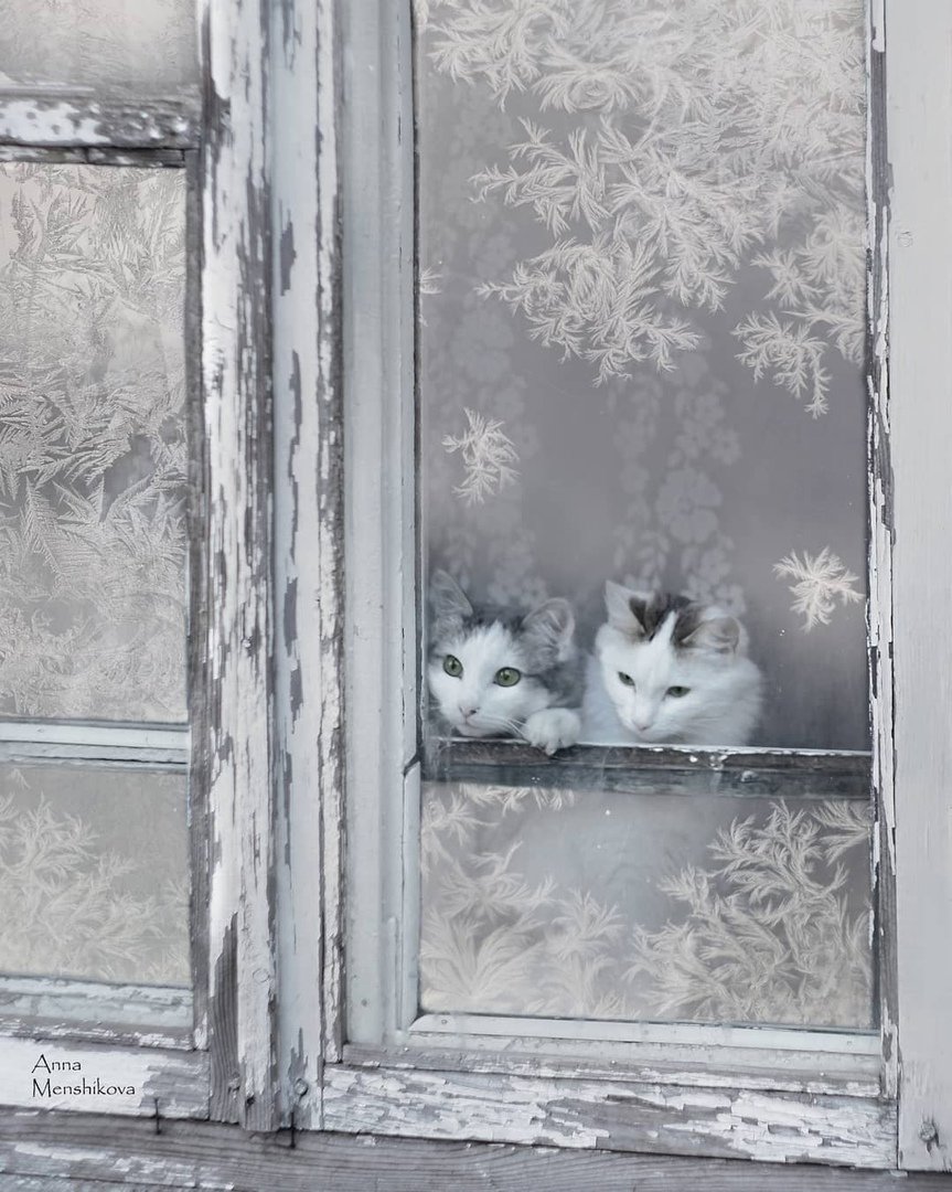 Зима за окном