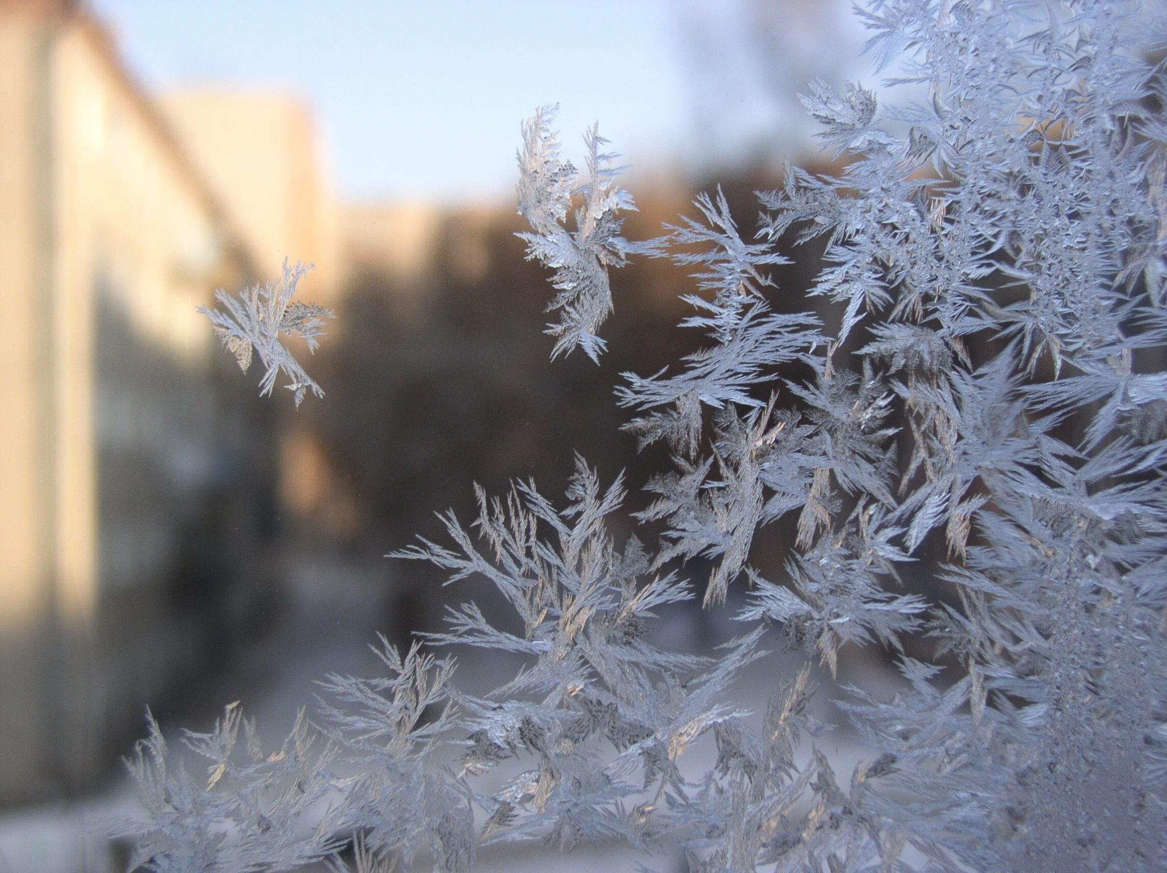 Сильные морозы сковали. Мороз. Иней на окне. Мороз на окне. Окно зимнее с инеем.