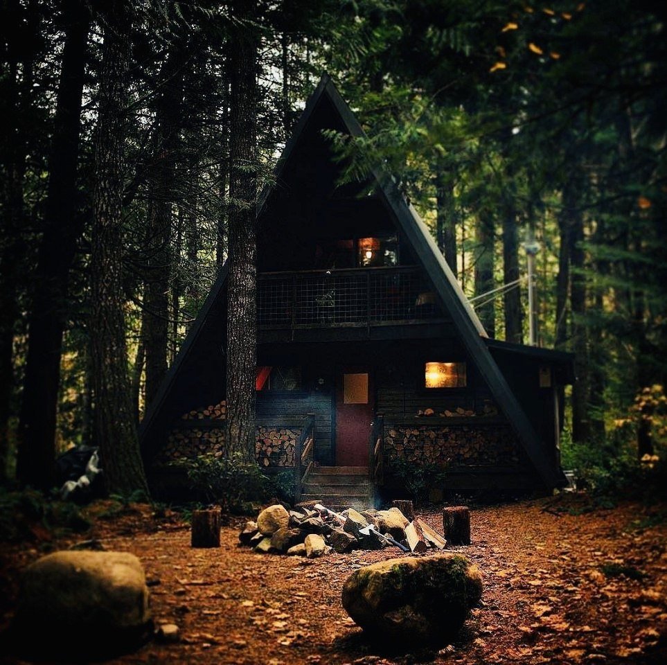 Дом один в лесу фото