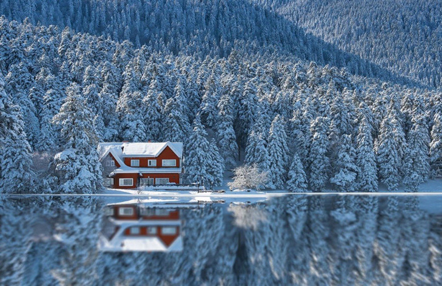 Зима на берегу озера. Уединенный домик в лесу. Дом в лесу. Одинокий домик в зимнем лесу. Домик в лесу у озера зимой.