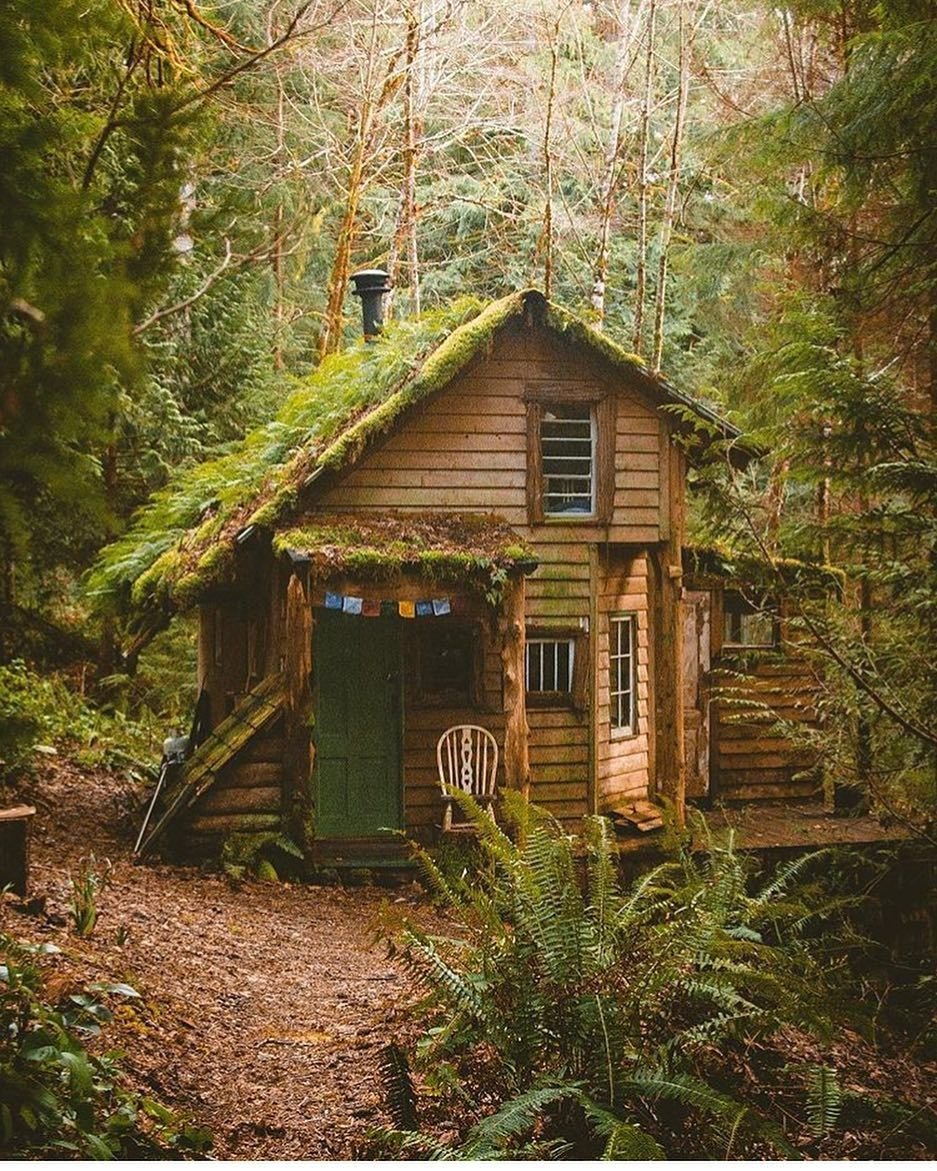 In the Cabin Woods Хижина в лесу Cabin