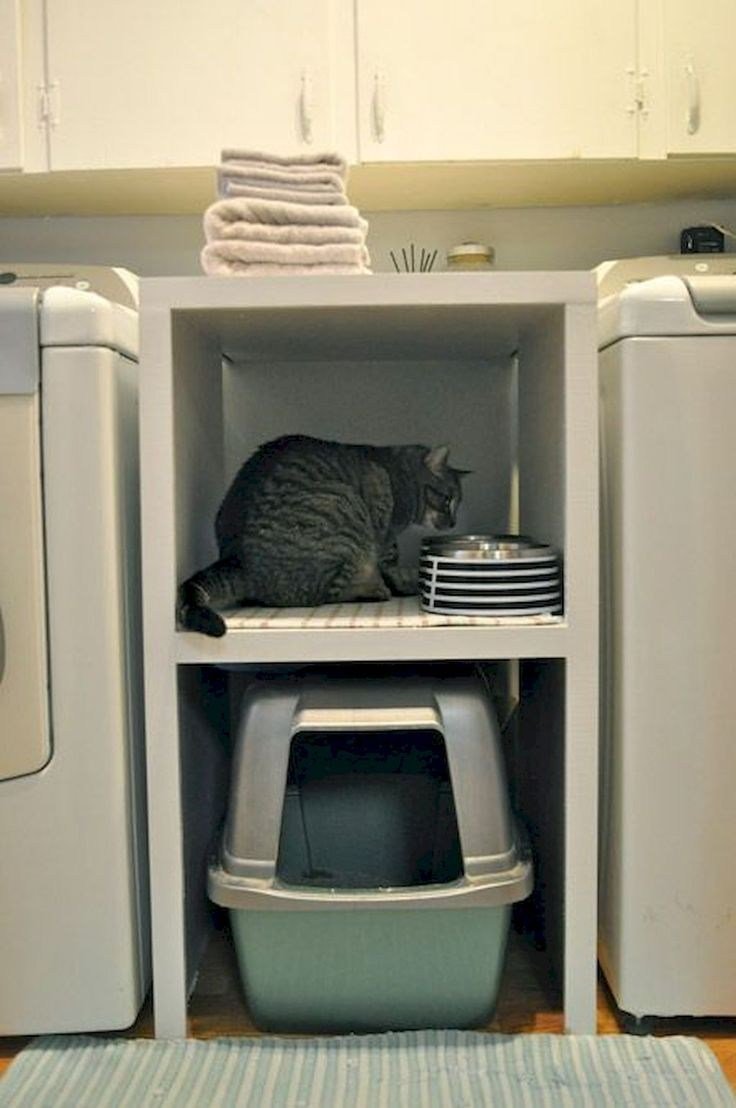 Кошачий туалет из контейнера