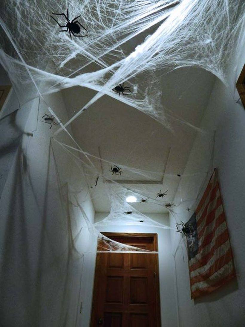 паук с потолка упал на кровать
