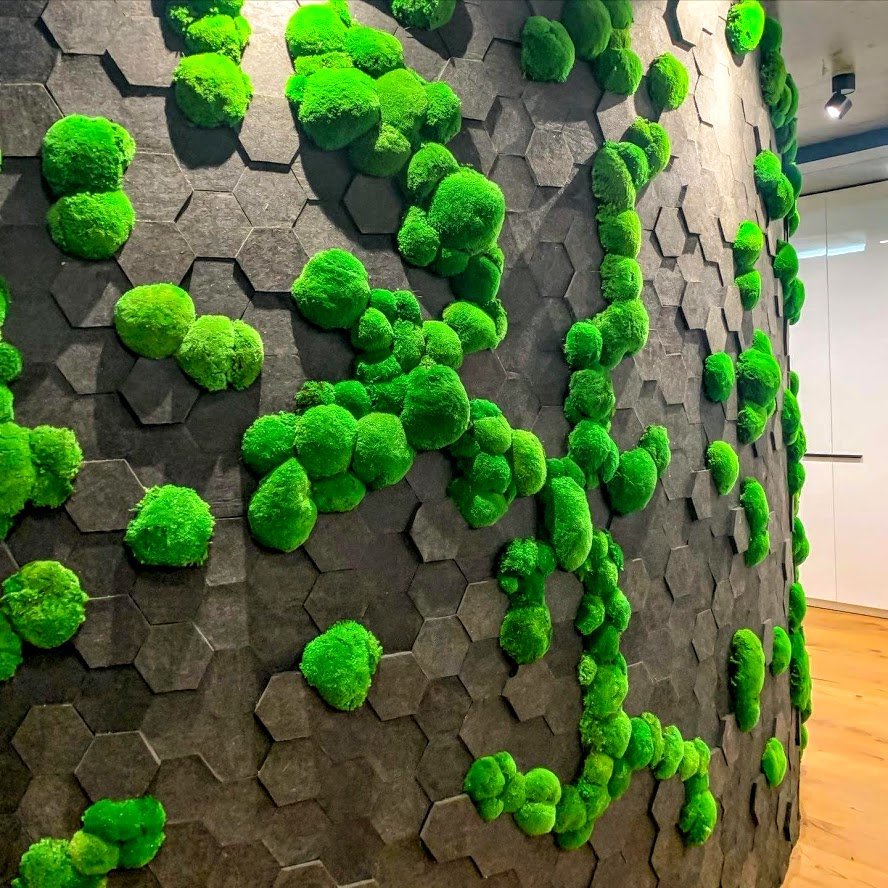 Фитостена из стабилизированных растений