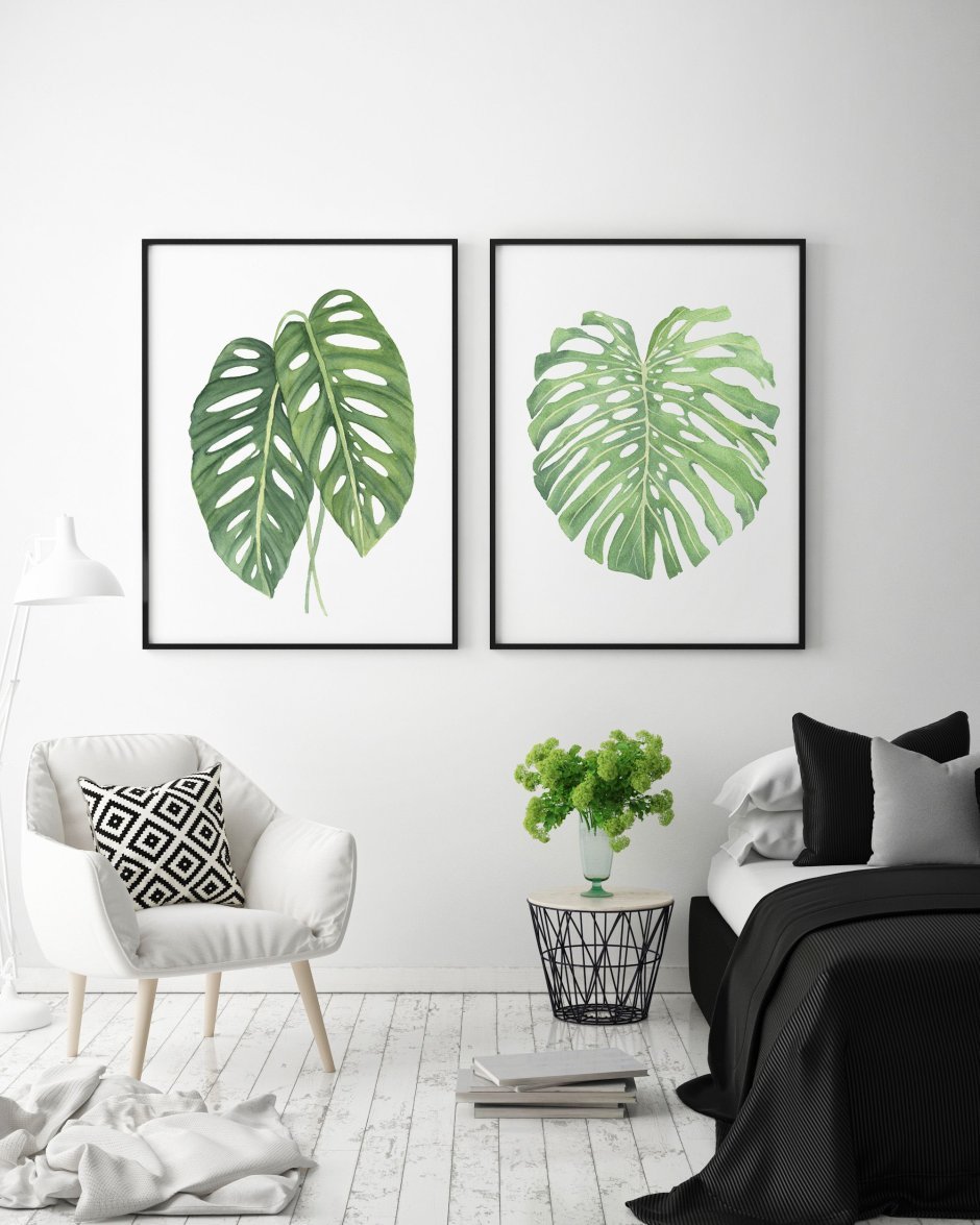 Monstera вектор