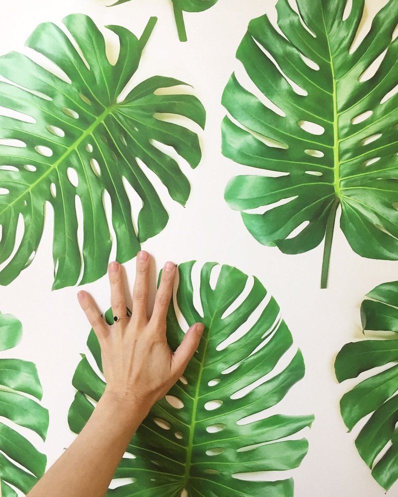 Постеры с листьями тропических растений