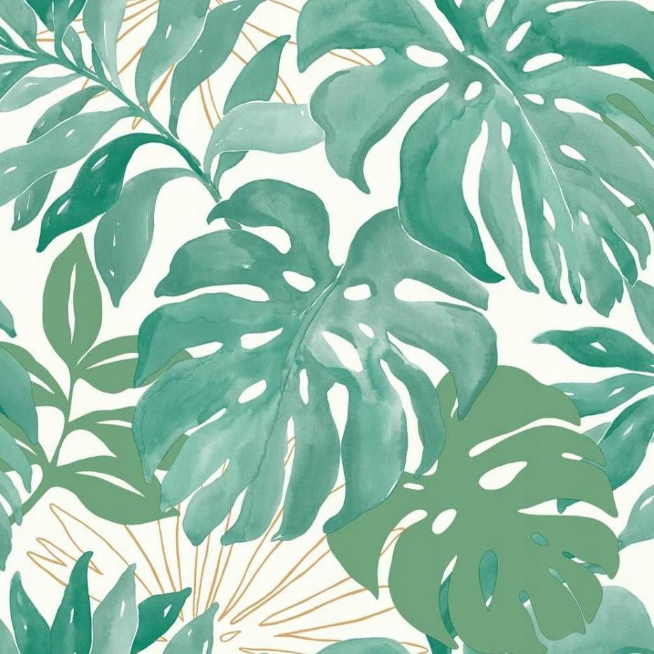 Зеленые тропические листья на белом фоне