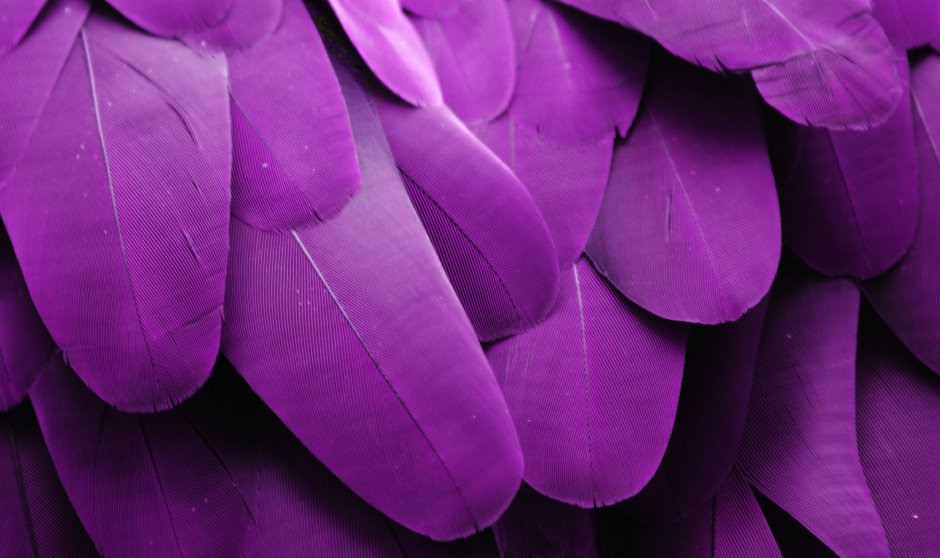 Эстетика фиолетового