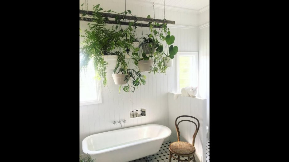 Bathroom with Plants