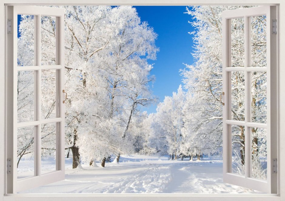 Окно с видом зима деревья