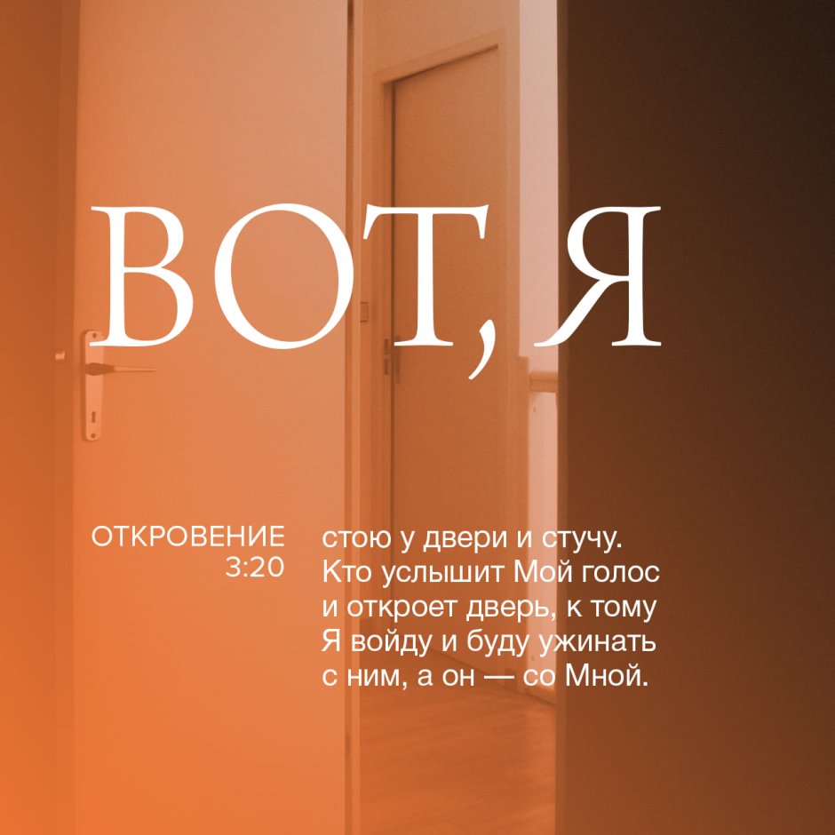 Дверь для кота