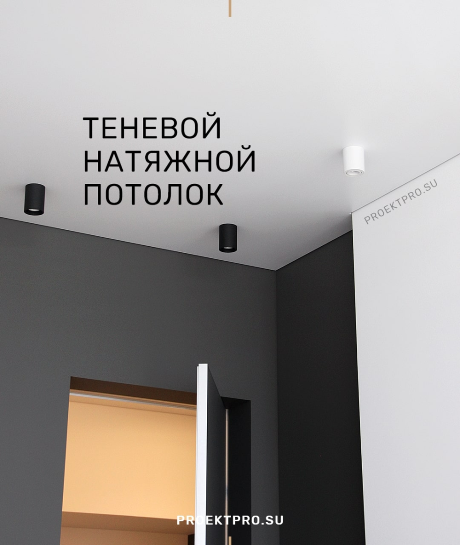 Потолок с теневым профилем