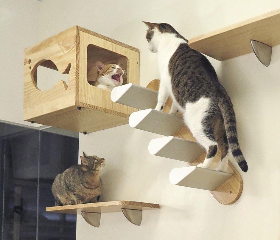 Игровой комплекс для кошек на стену