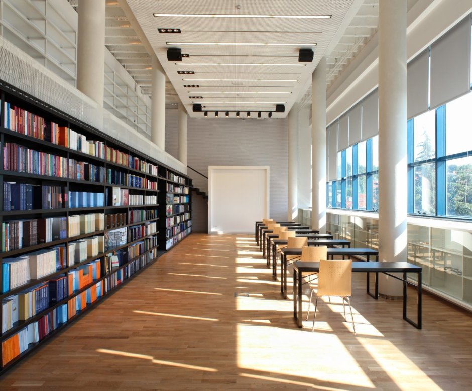 Интерьер помещения библиотеки