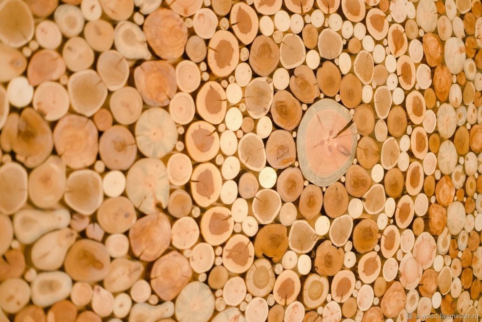 Стенка из деревянных спилов