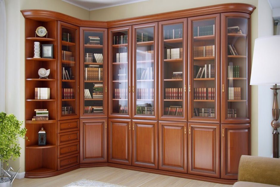 Необычные книжные шкафы со стеклами