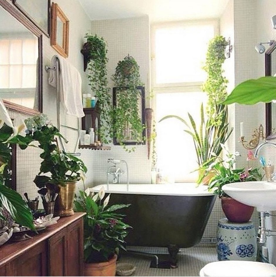 Растения в ванной комнате интерьер