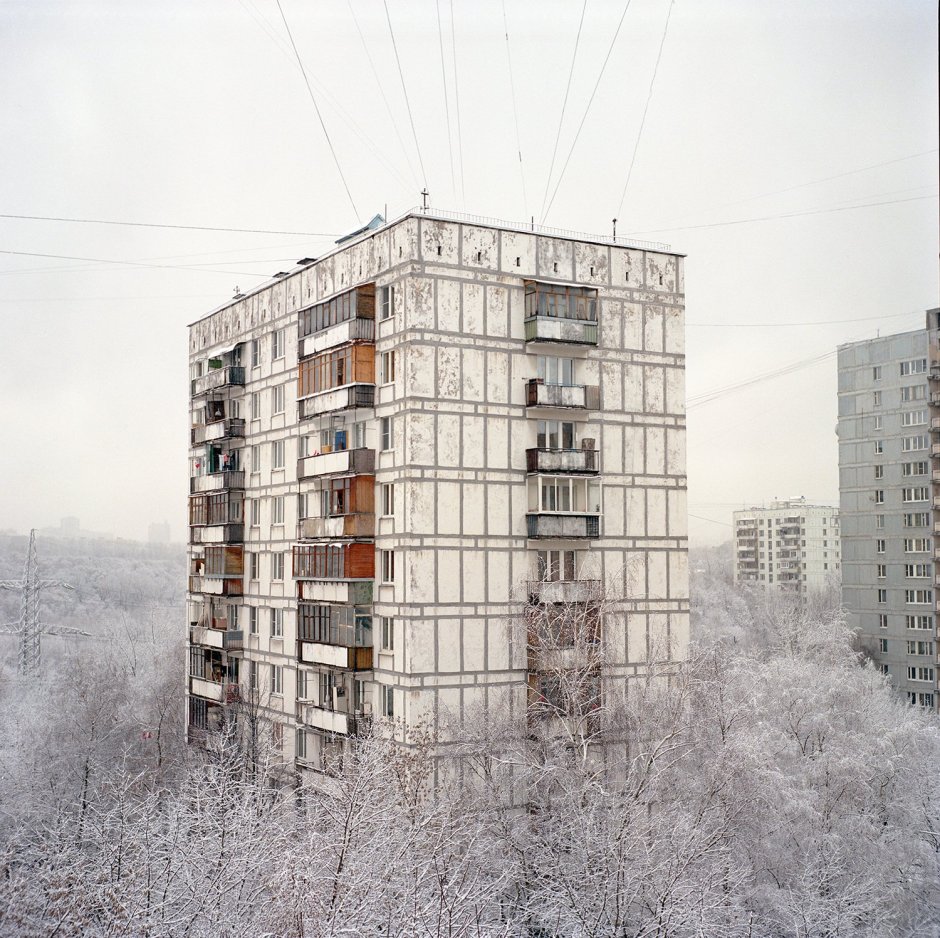 Климт в Кудрово ЖК Вена