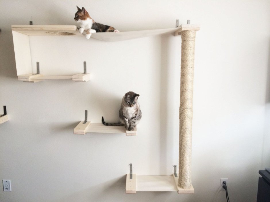 Комнаты для кошек в доме
