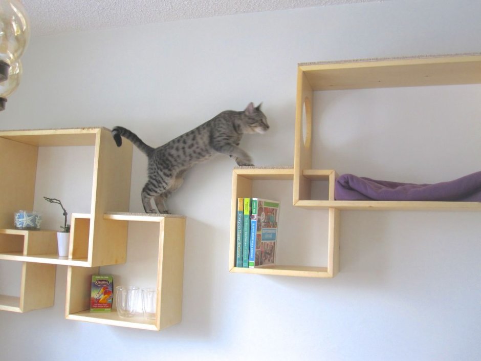 Полочки для кошек на стене