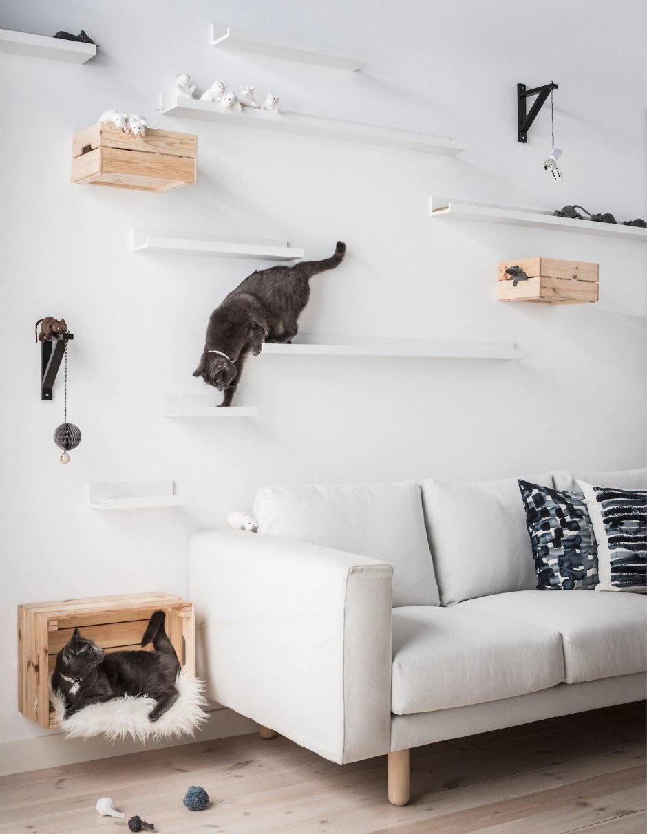 Домик для кота на стене