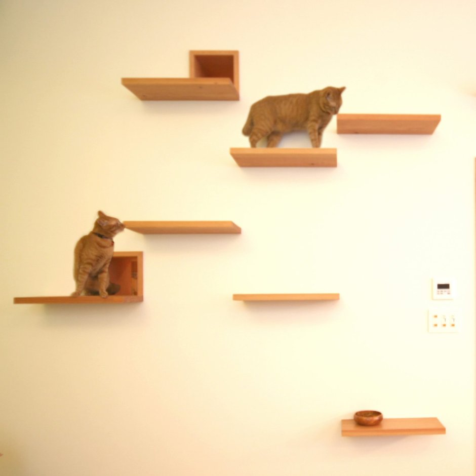 Полки для кошек на стену