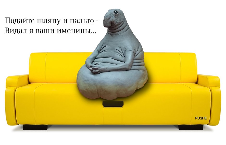 Pushe диваны логотип