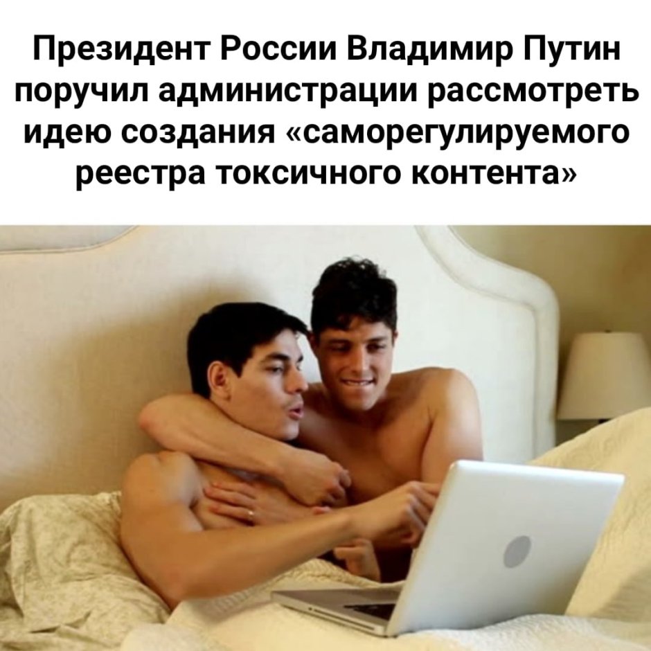 Тюлень на диване