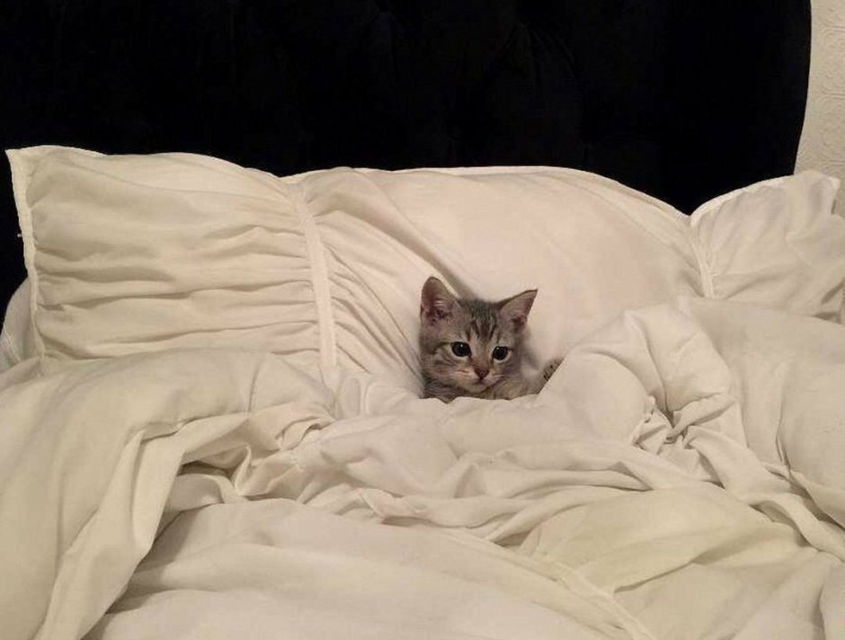 Кровать кошечка