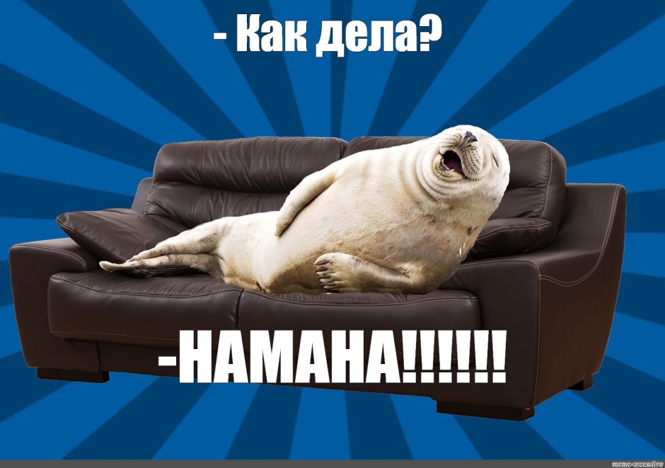 Мишка Эстетика Рилаккума