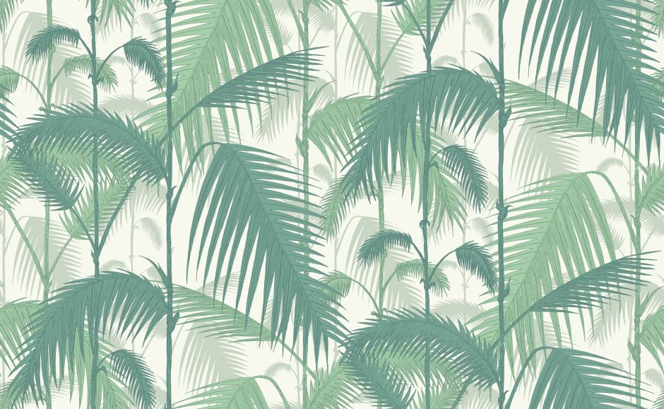 Обои Cole and son Palm Jungle