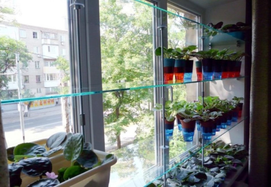 Стеклянный стеллаж для цветов на окно