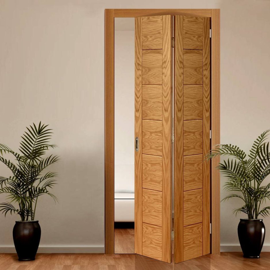 Складная дверь Folding Door
