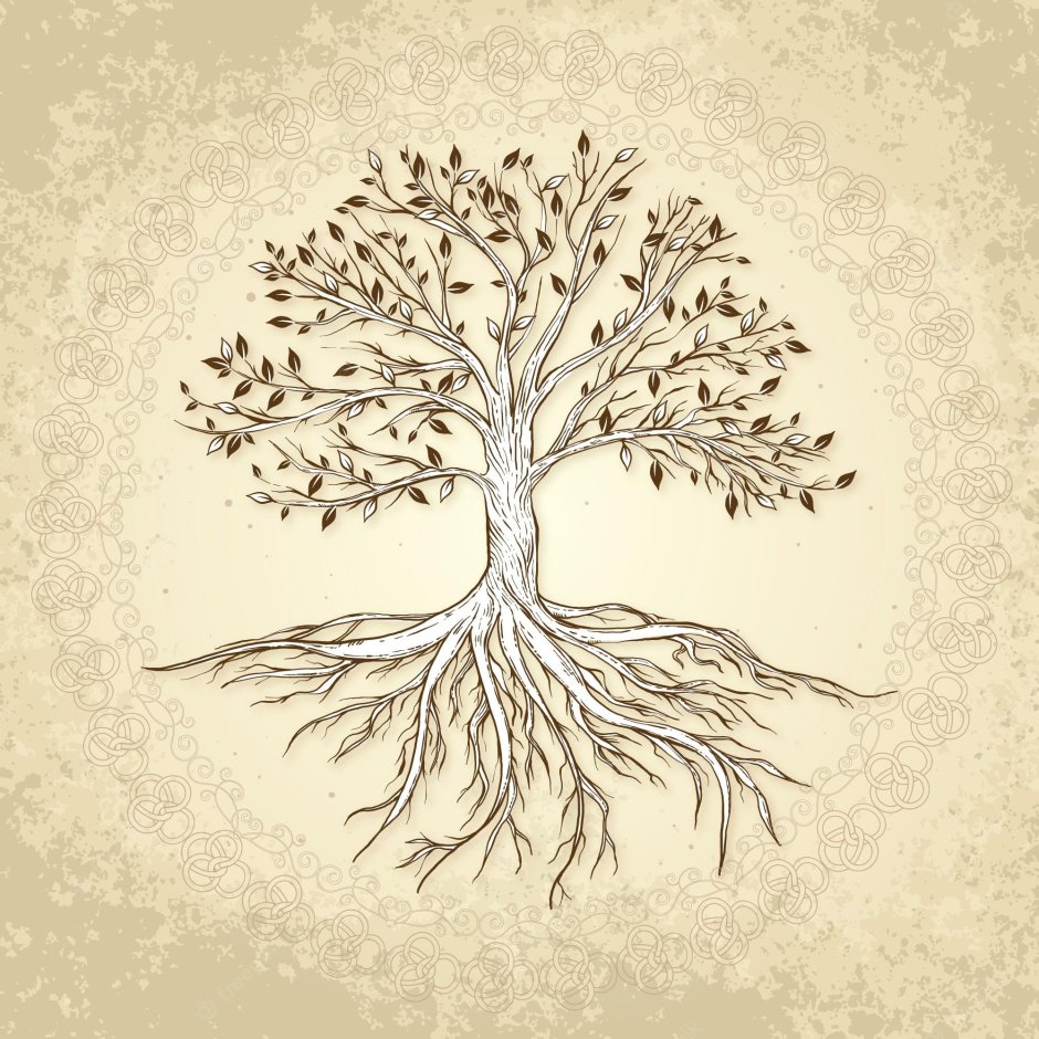 Родовое Древо корни рода