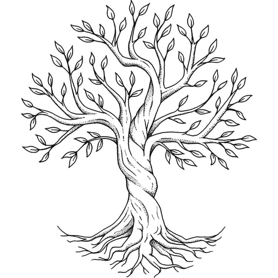 Нарисовать дерево жизни