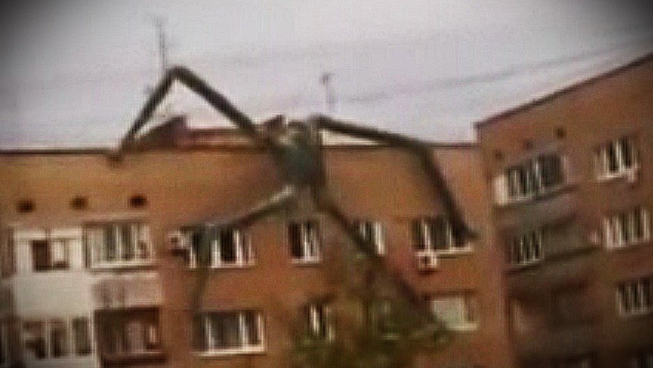 Палочник в России монстр