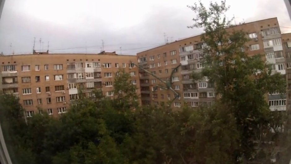 Палочник Буратино