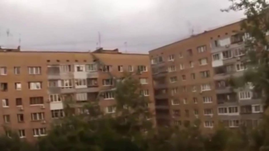 Ужас в Ульяновске палочник