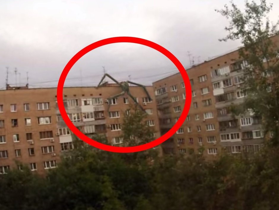 Палочник мистическое существо
