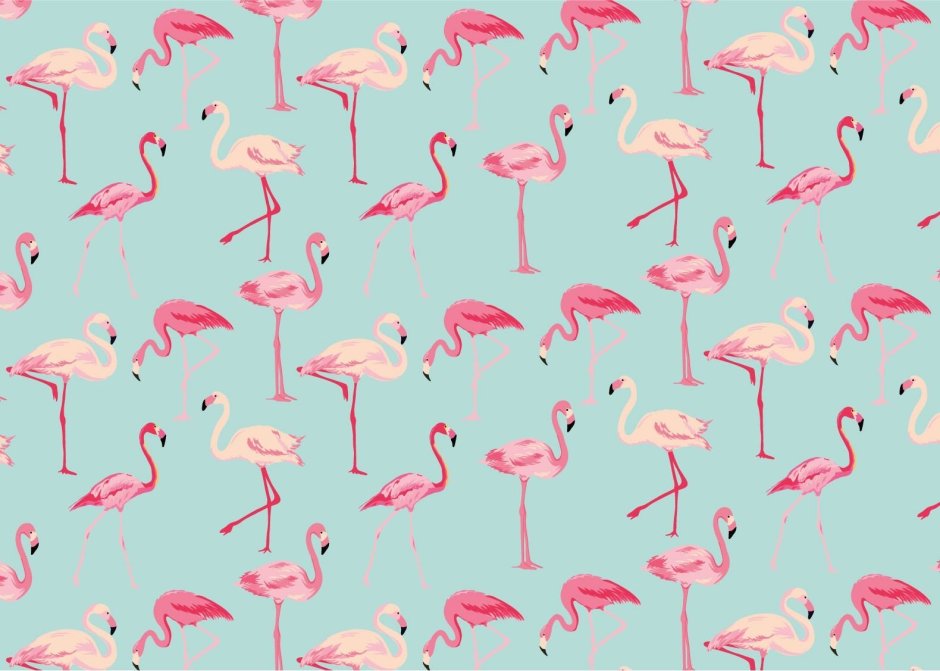 Розовый фон с Фламинго