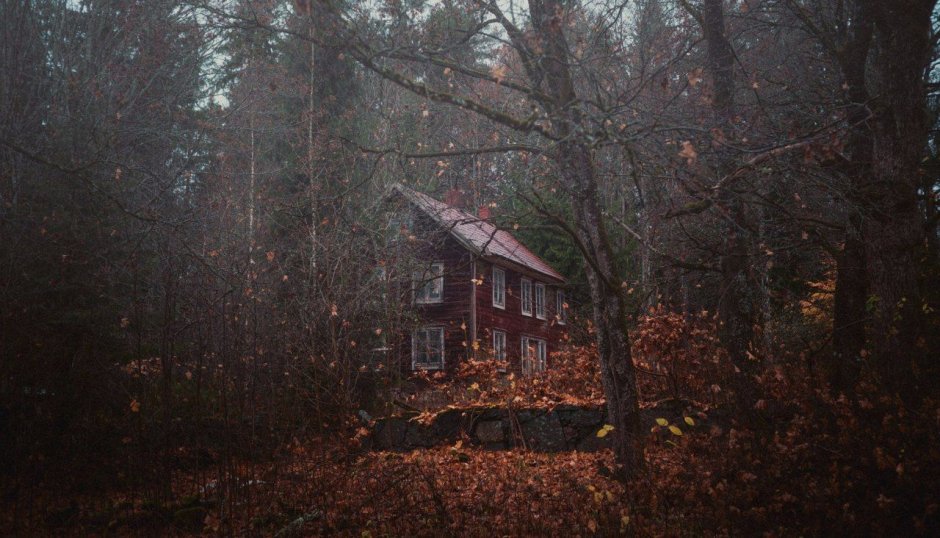 Таинственный дом в лесу