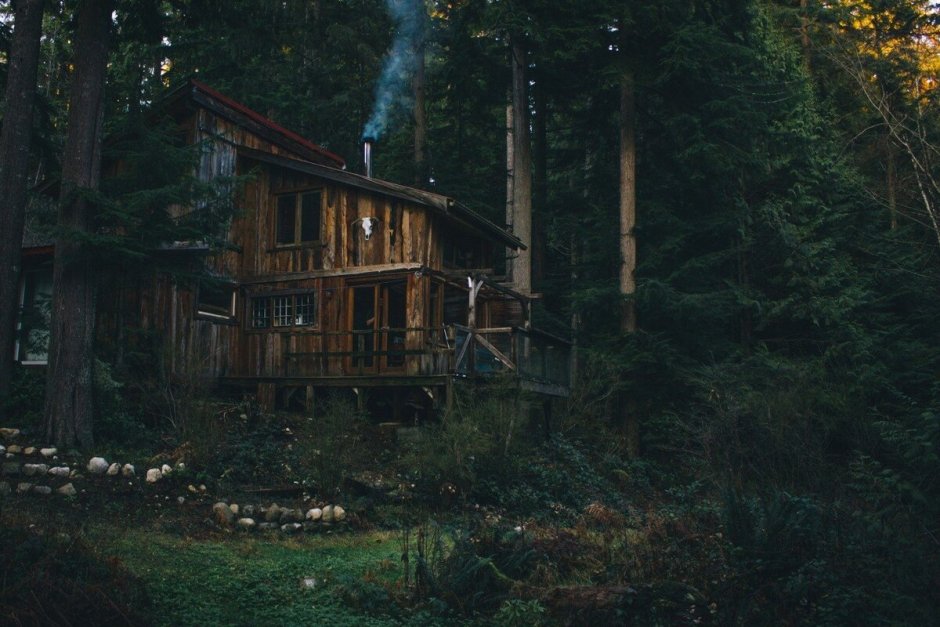 Скрытый дом в лесу