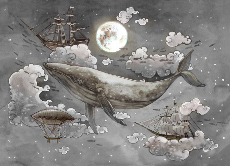Картинка иллюстрации проект китов