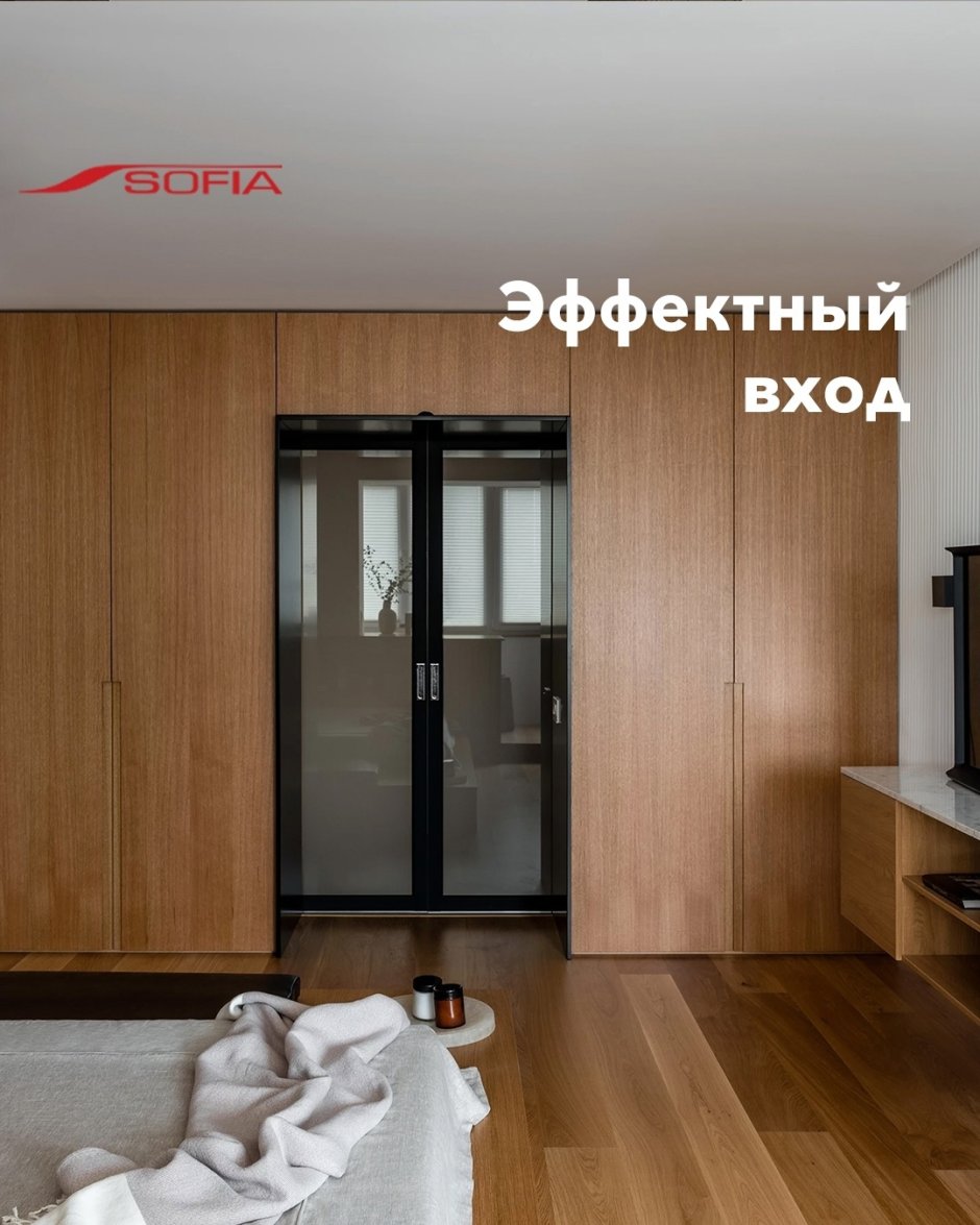 Двери Sofia Infinity