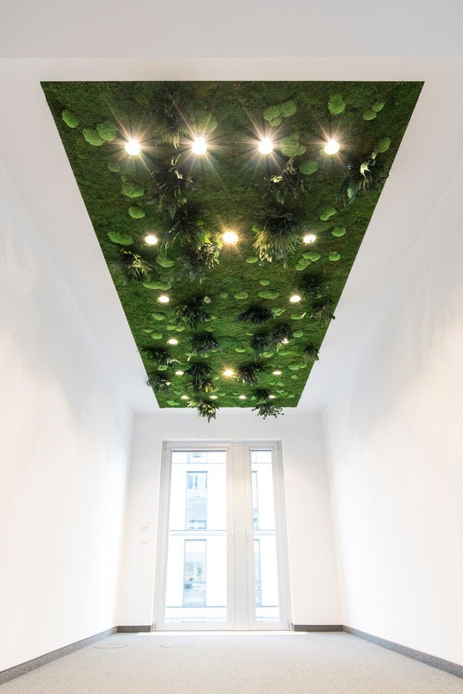 Потолок из зелени