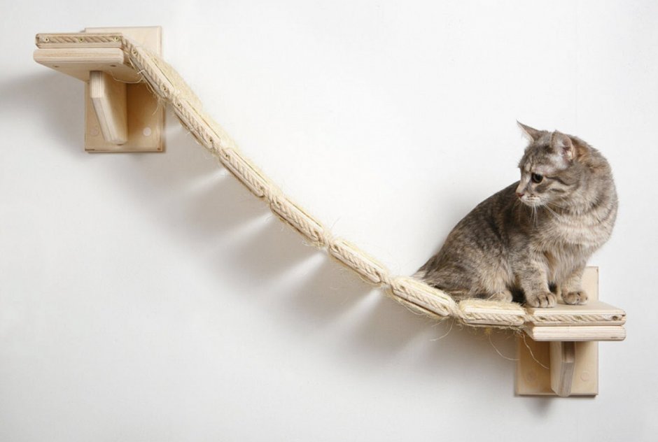 Лестница для кошек