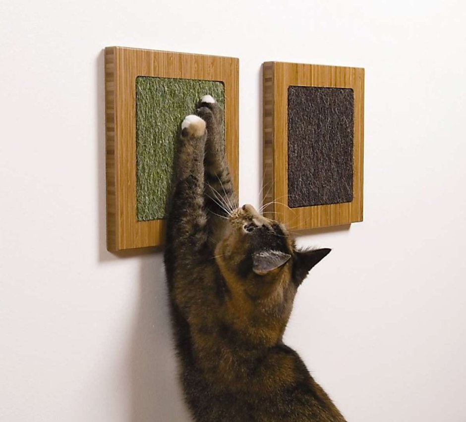 Когтеточка для кошек на стену